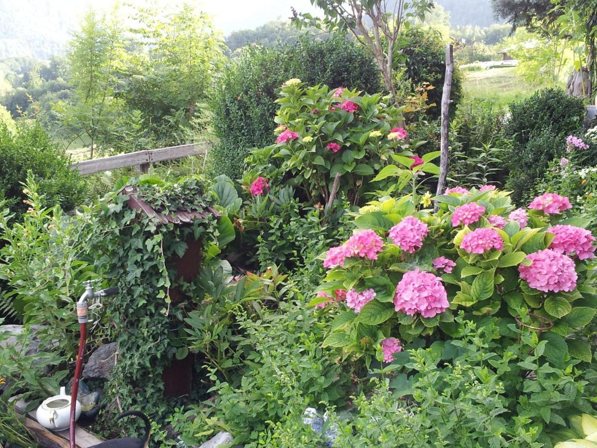 باد ريشنهول Pension Schwarzenbach المظهر الخارجي الصورة