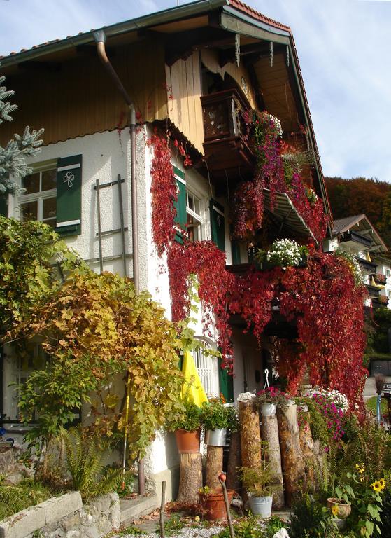 باد ريشنهول Pension Schwarzenbach المظهر الخارجي الصورة